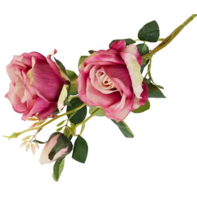 RÓŻA - Gałązka 2 kwiaty i pąk Peach Purple 63 cm